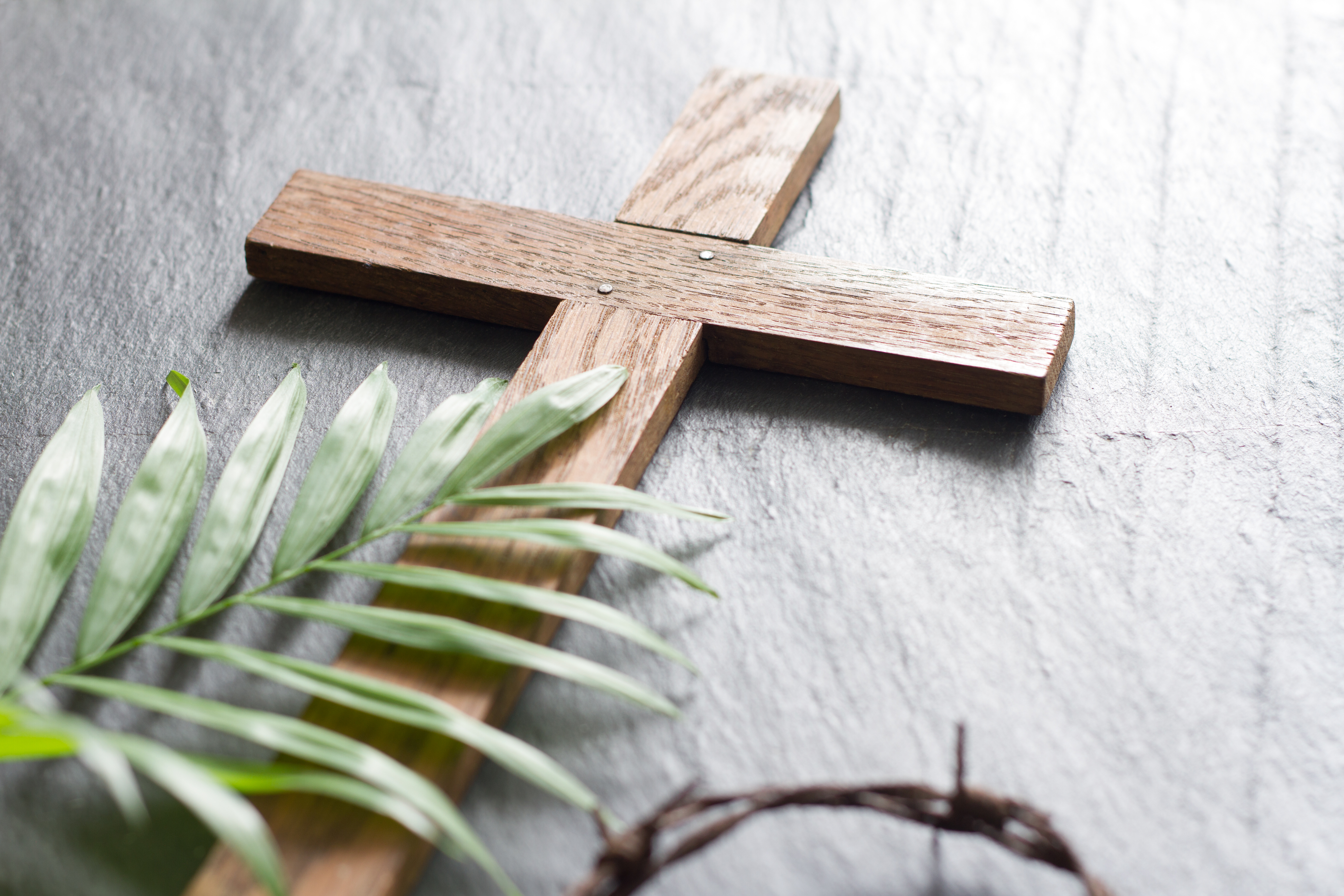 Palm Sunday.jpg
